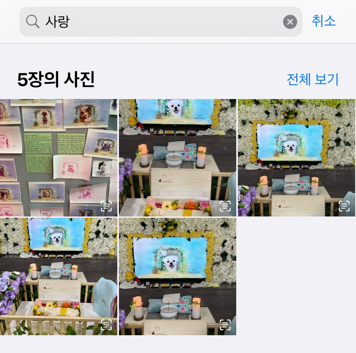 222seo's tweet photo. https://t.co/jXIKJ7Wwgs