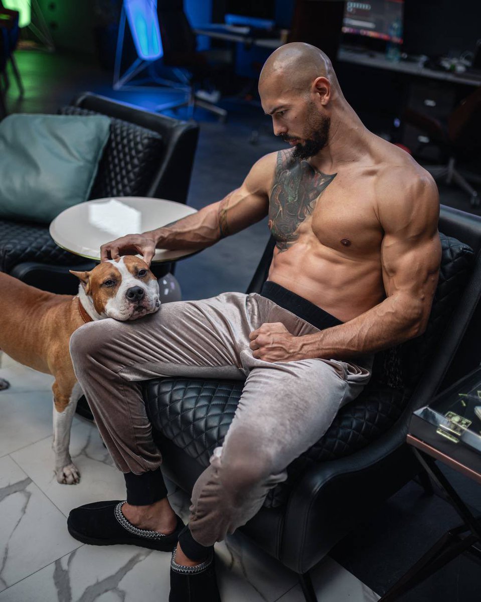 Tate News tweet media