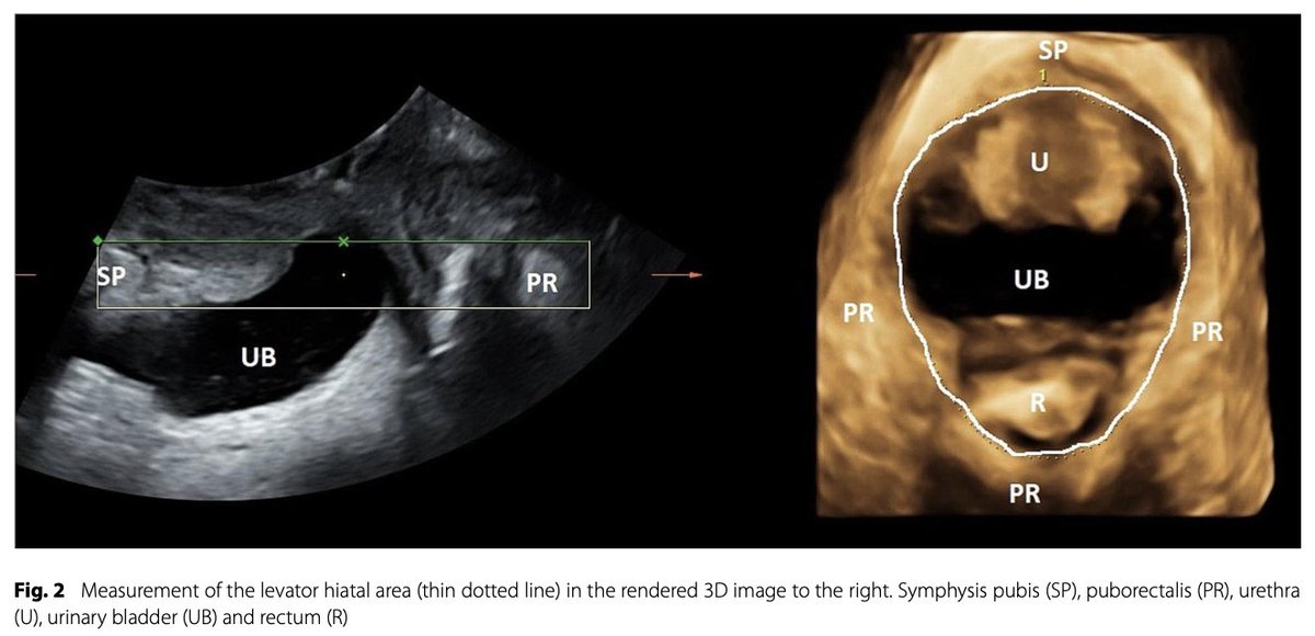風地＠毎日音楽の話を(も)しています tweet media