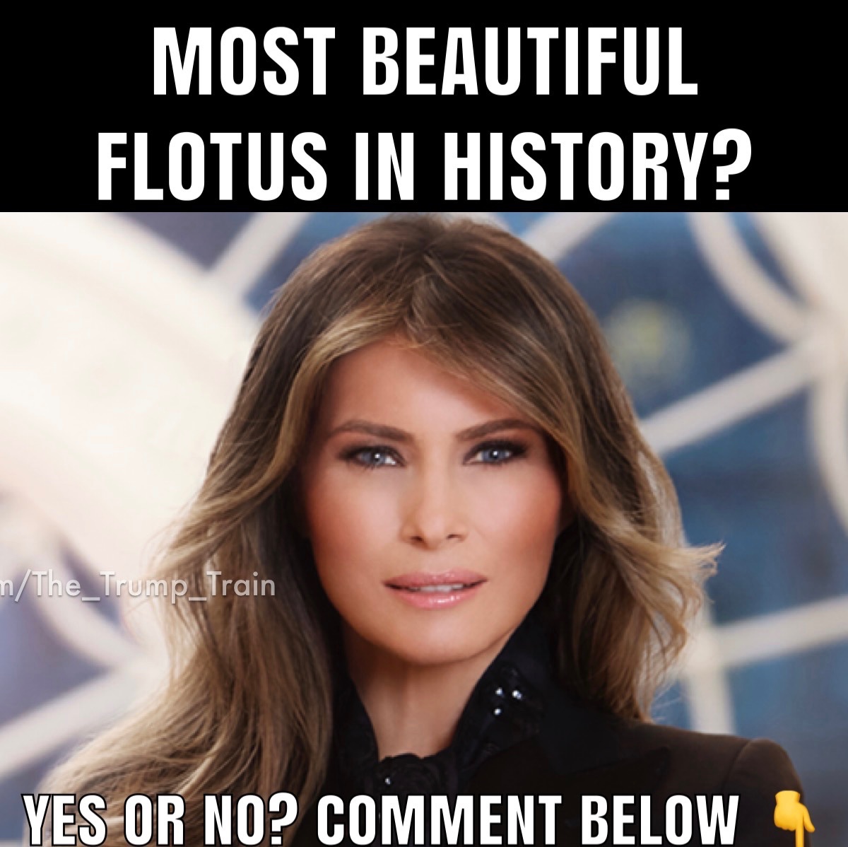 The Trump Train 🚂🇺🇸 tweet media