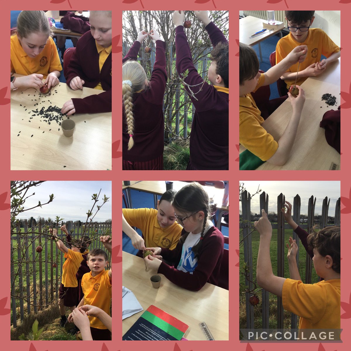 CTKLiverpoolFS's tweet photo. We made bird feeders in @CTKLiverpoolY6 this morning! https://t.co/knIrIUxtHc