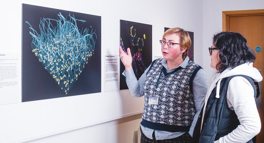 Arts and Culture University of Exeter (@artsandculturex) on Twitter photo Calling all <a href="/UniofExeter/">University of Exeter</a> academics & researchers! Do you have some amazing images that tell the story of your research project? We're currently accepting proposals for the term 3 Queen's Building display. Deadline 18 February. Find out more -> buff.ly/3Sb3Syb Calling all <a href="/UniofExeter/">University of Exeter</a> academics & researchers! Do you have some amazing images that tell the story of your research project? We're currently accepting proposals for the term 3 Queen's Building display. Deadline 18 February. Find out more -> buff.ly/3Sb3Syb