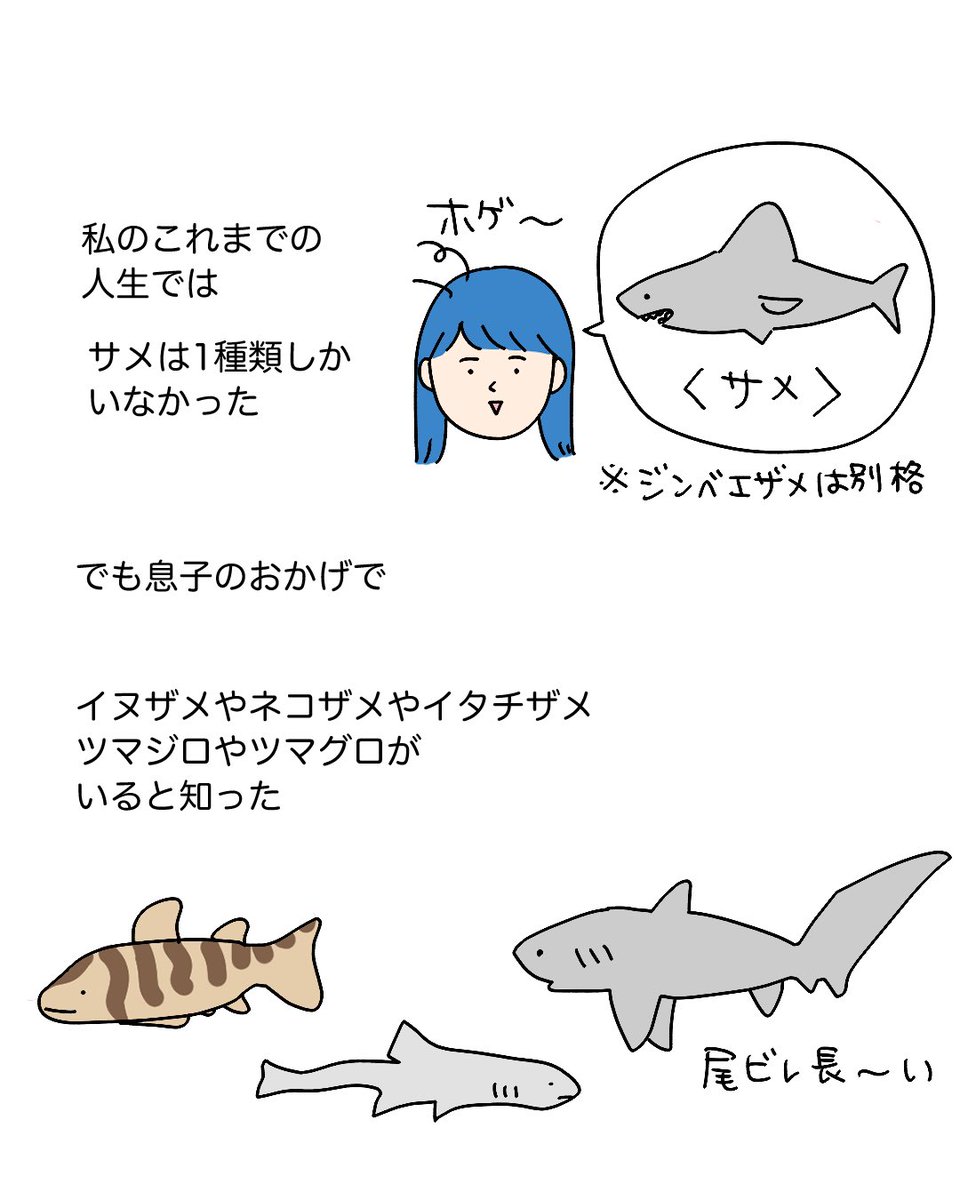 6歳息子のブームの変遷と、私の世界の広がり(3/3) 