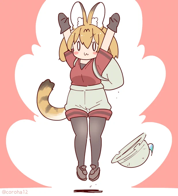 きょうもねこをはっしゃ