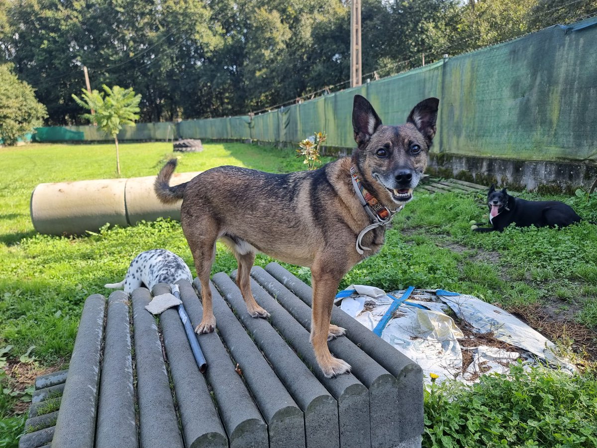 ᑭᏞᗩᑎᗴᎢᗩ Ꮓᗩᖇᑭᗩ tweet media