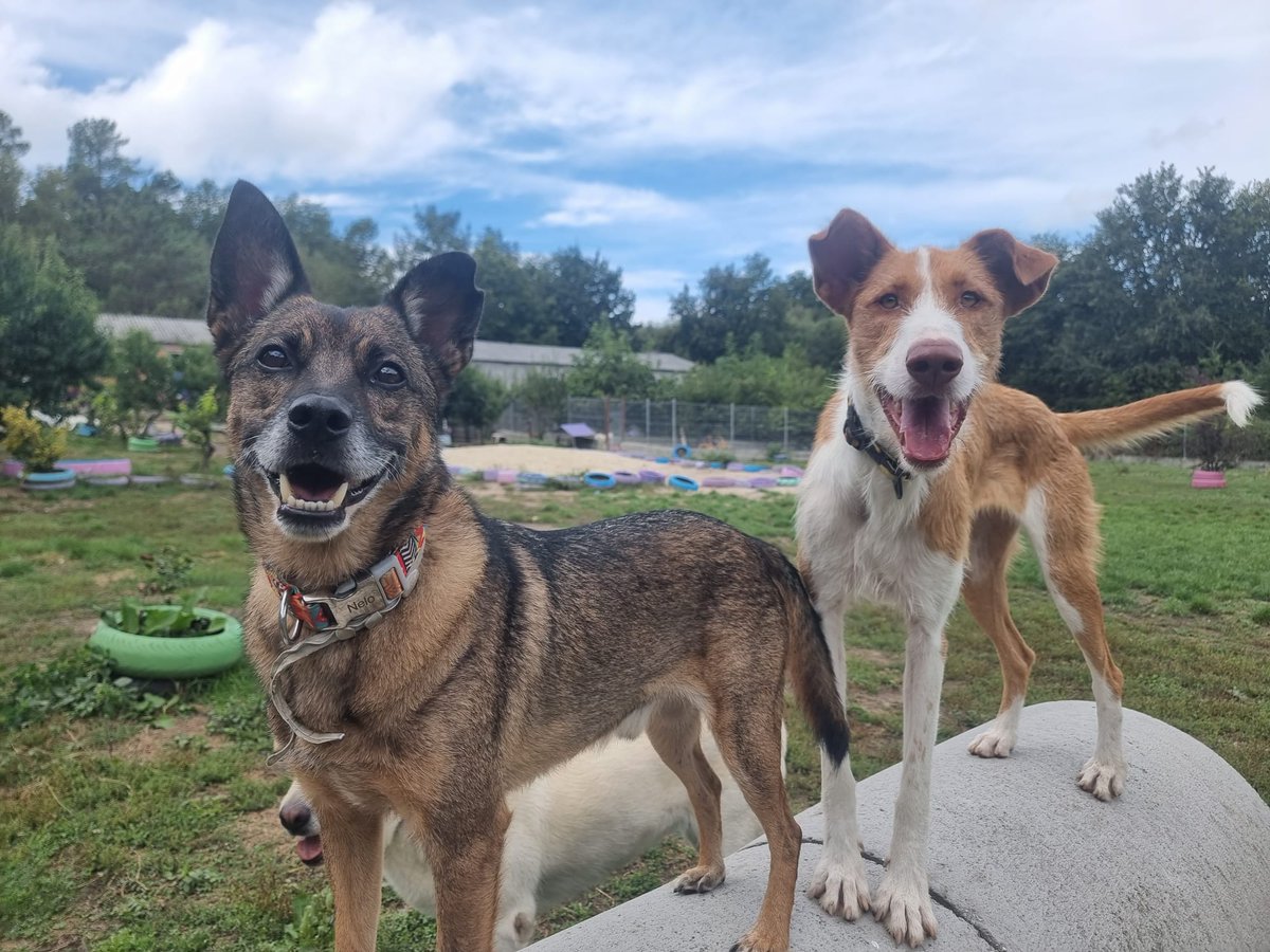 ᑭᏞᗩᑎᗴᎢᗩ Ꮓᗩᖇᑭᗩ tweet media