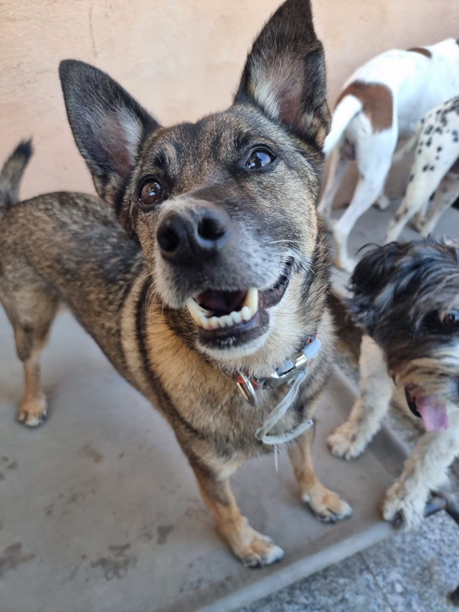 ᑭᏞᗩᑎᗴᎢᗩ Ꮓᗩᖇᑭᗩ tweet media