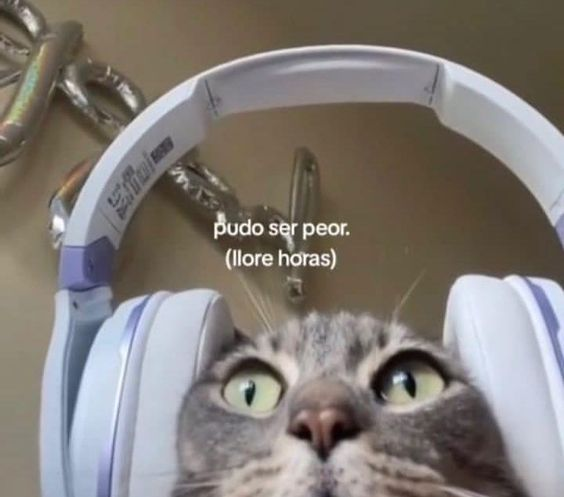 Wuolah's tweet photo. yo viendo mis notas https://t.co/ku38dBJlIi
