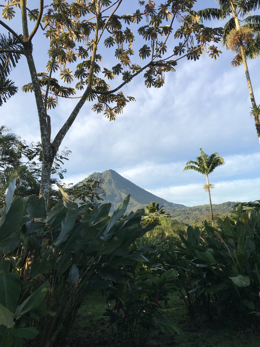 JanisColey's tweet photo. Loved waking up to this view of the Arenal volcano from my bed. https://t.co/Ykgx2lXzNG