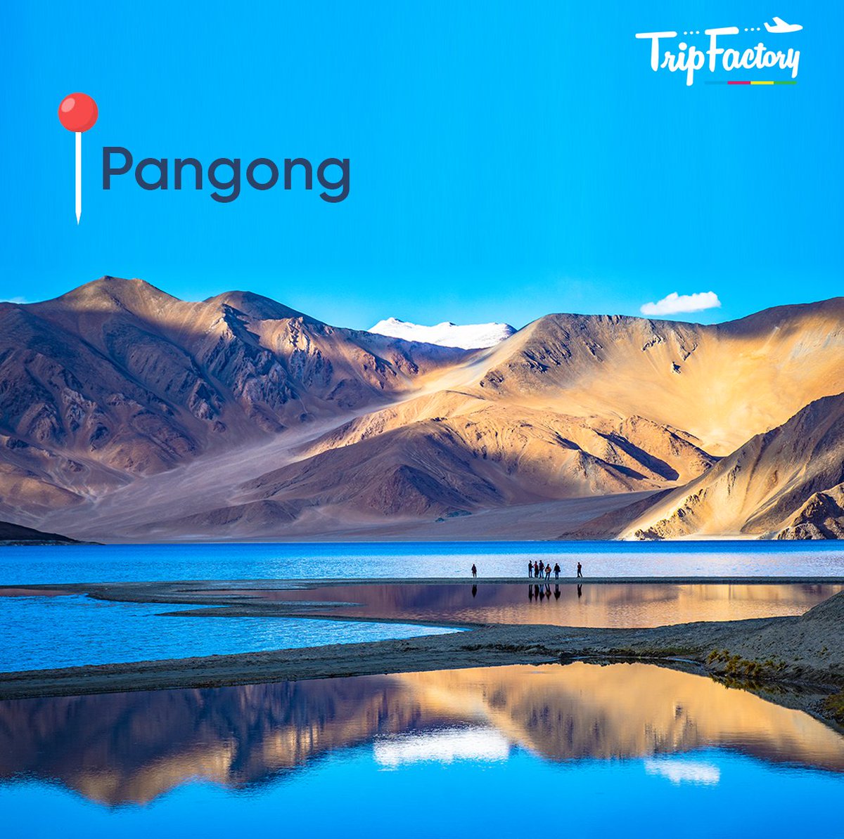 trip__factory's tweet photo. Explore Leh, discover the beauty of Nubra Valley, gaze upon the mesmerizing Pangong lake, and make memories starting at just ₹22,299 per person. Book Now: https://t.co/O0mlK7rpRa
#TripFactory #Travel #Traveling #Holidays #Vacation
#InstaTravel #Holidaypackages #Travelguide https://t.co/hUtMSgeWo6