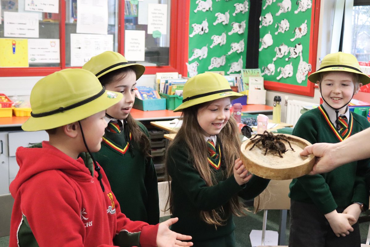 Friends' School Lisburn - Preparatory Department tweet media