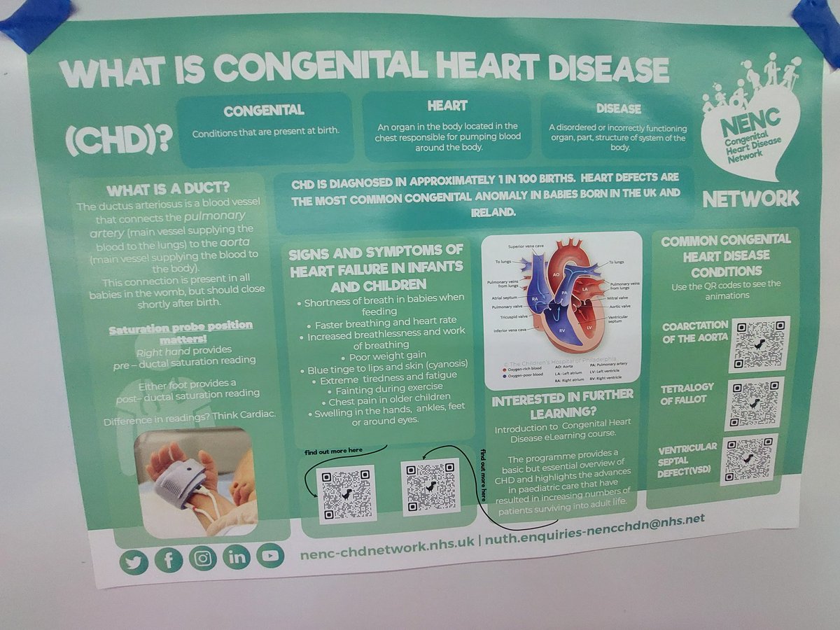 North East and North Cumbria CHD network tweet media