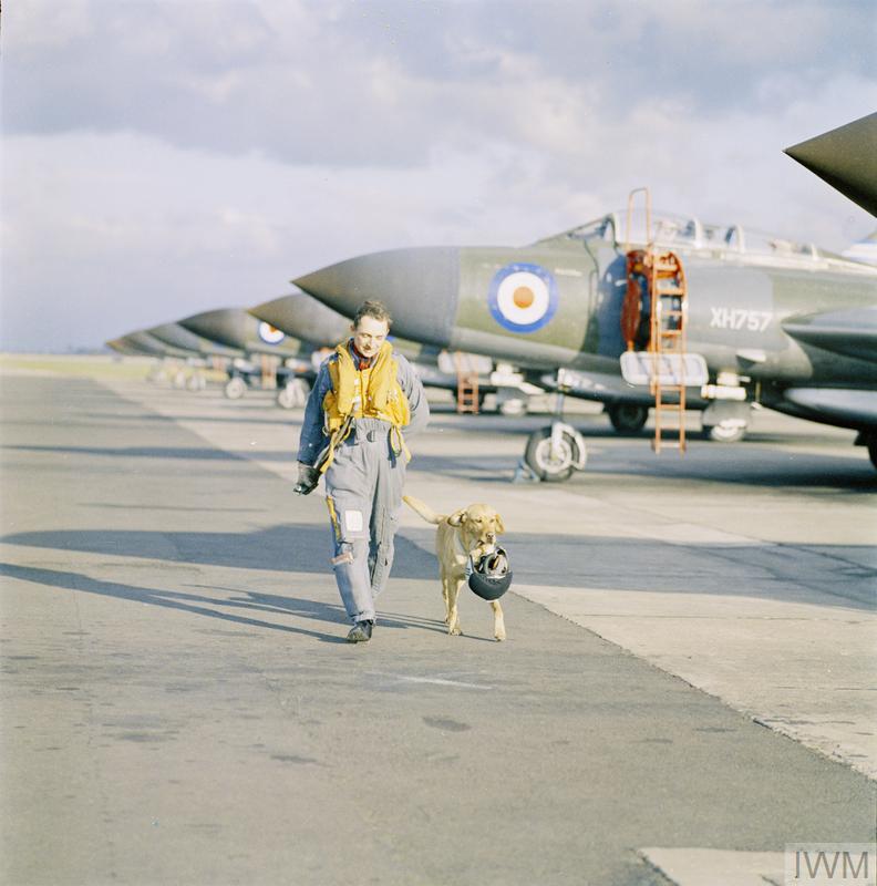 'House' the dog looks after his master's flying helmet as they both walk along a line of Gloster Javelin FAW.9s of No 33 Squadron at RAF Middleton St George, November 1962. You can see a Gloster Javelin FAW.9 up close when you visit @IWMDuxford. © IWM RAF-T 3519