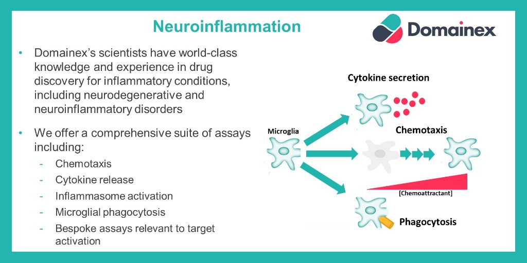 We have recently added a new page to our website covering over expertise in the area of #neuroinflammation. Please take a look and get in touch via enquiries@domainex.co.uk if you would like to find out more: domainex.co.uk/services/neuro… #CNSDrugDiscovery