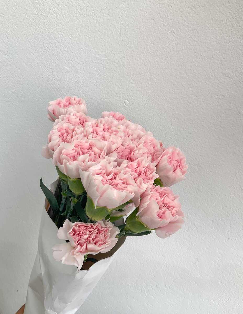 🌷