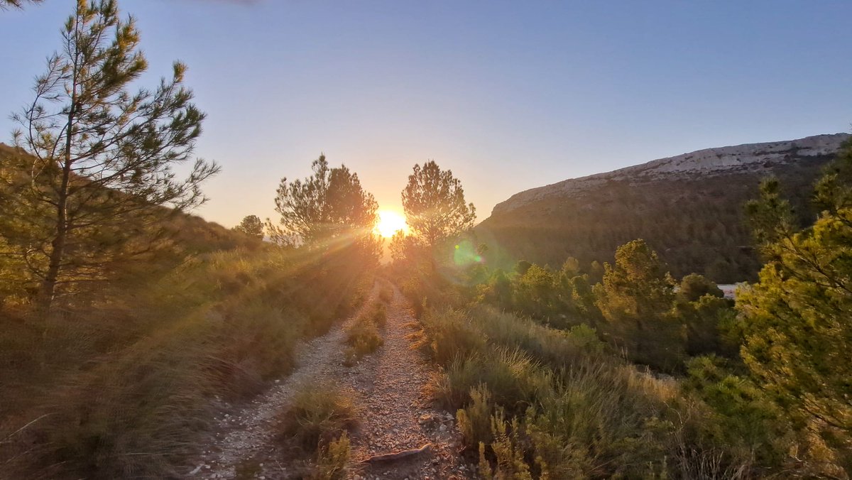 FranBravoSM's tweet photo. Amaneceres que te recargan de energía y de buen rollo para el día y para toda la semana. Así que por eso lo comparto, porque sé que a más de uno y más de una le va a venir bien.
FELIZ SEMANA. https://t.co/xEmobYYhnl
