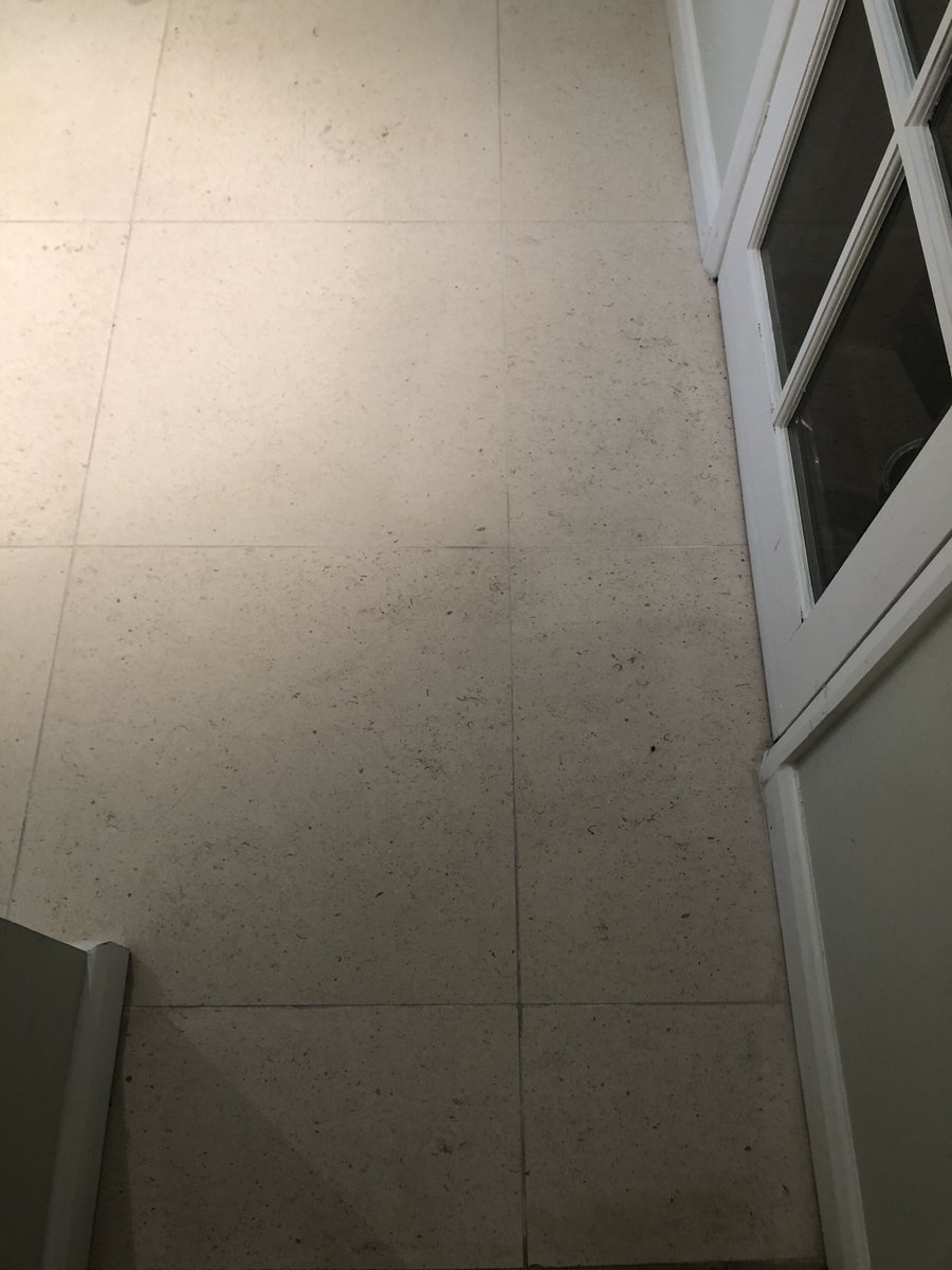 athenastonecare's tweet photo. Stone is sustainable. Part of this is due to its durability. With the right care, natural stone will last forever.
#sustainable #sustainability #stonemaintenance #stonecare #naturalstone #stone #stonecareexperts #limestone #marble #travertine #granite #homeimprovement https://t.co/V2py2jFHdt