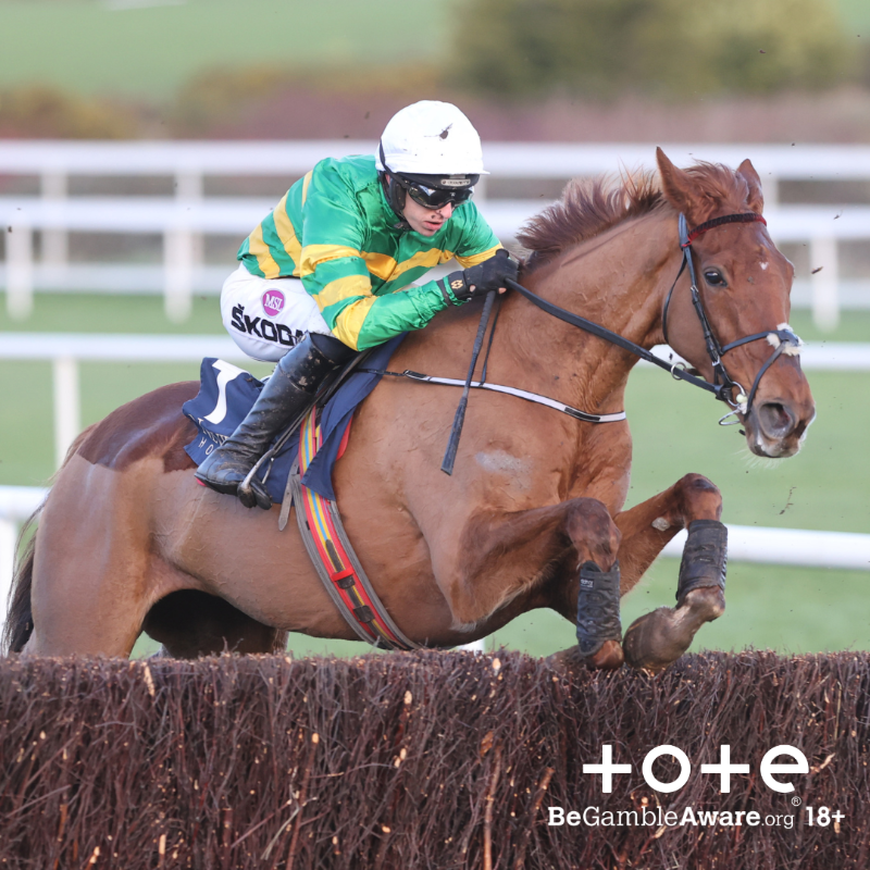 ToteRacing's tweet photo. π€ Only 2% of #TenToFollow stables house ππ’π₯πππ§π§π¦ ππ₯π’π¦π¦ π
Emmet Mullins' rising star continues his Cheltenham Festival preparation today at @Fairyhouse ποΈ