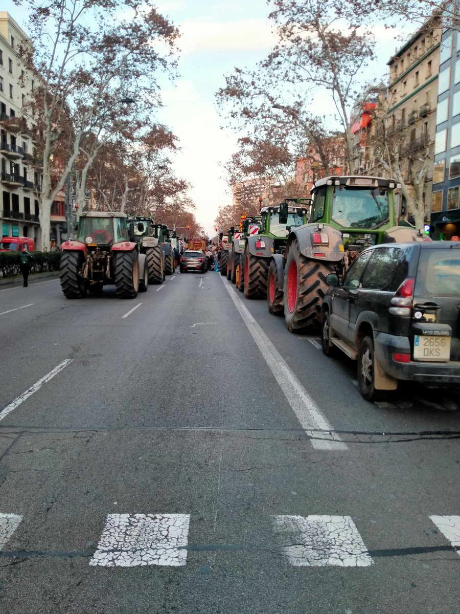 marcfontribas's tweet photo. Centenars i centenars de tractors aparcats al tram central de la Gran Via. Protesta massiva d'un sector que mor #Lapagesiadiuprou https://t.co/dO2hStlN6y