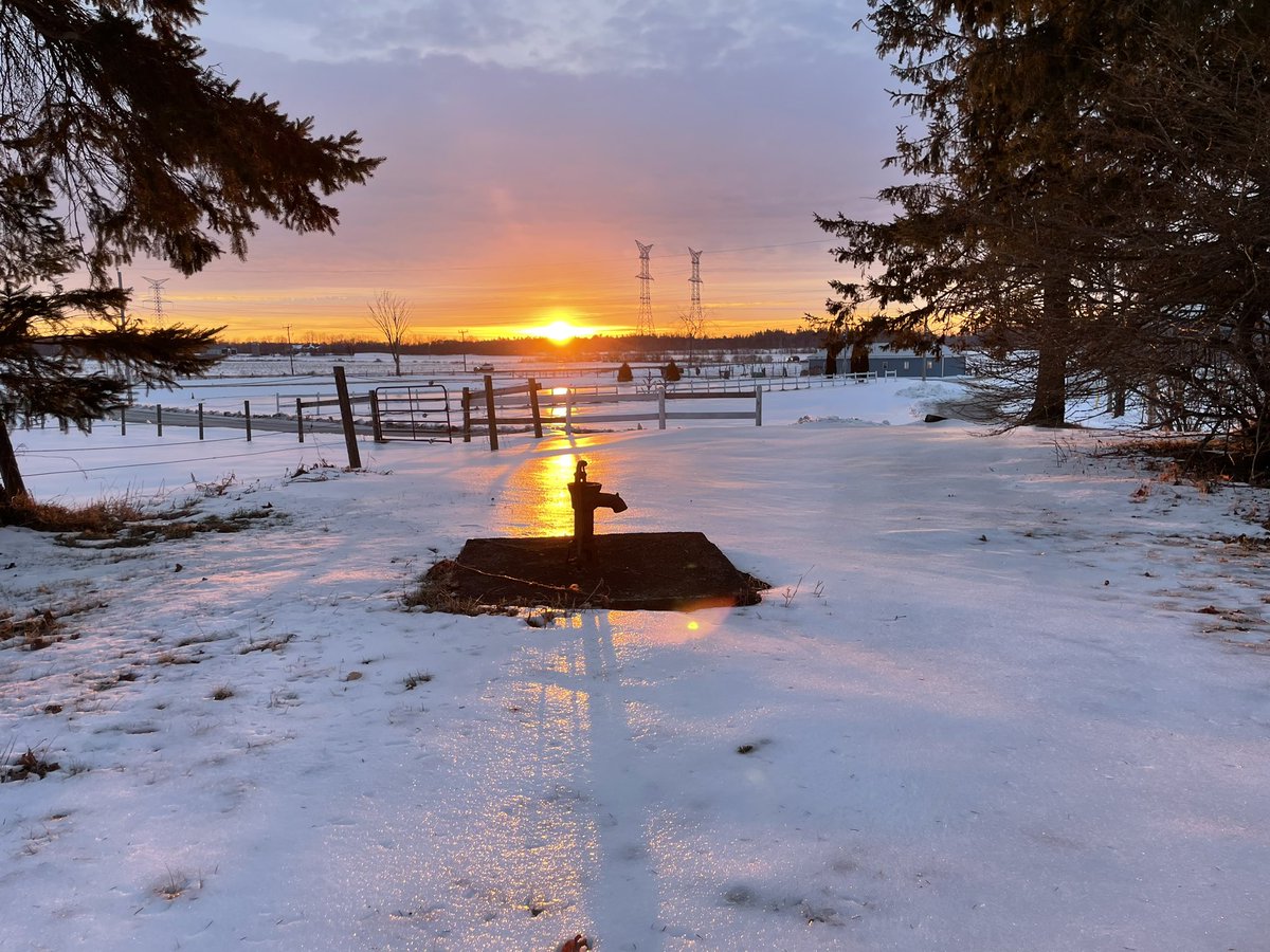 The farm at sunrise: