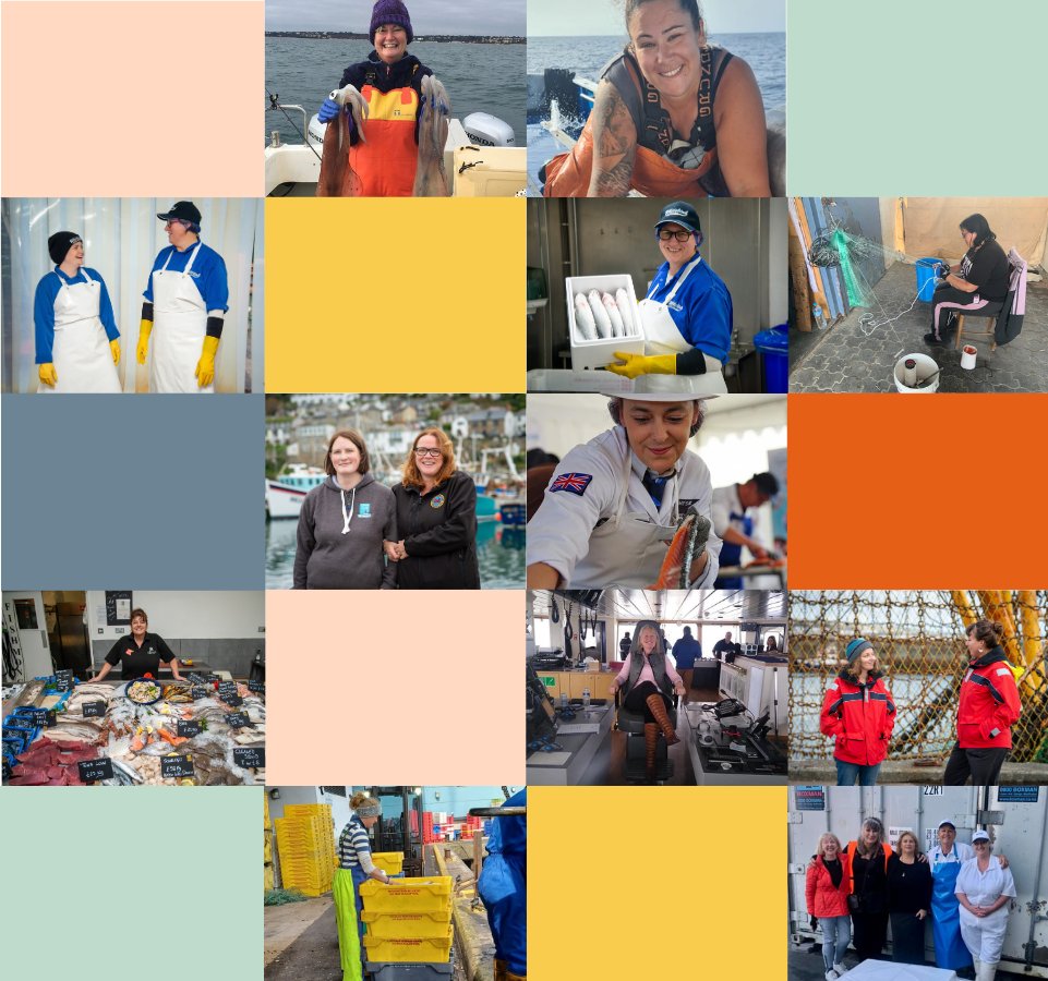 Check out our 1st #womeninfisheries newsletter! We now have over 170 members representing all corners of the UK's #fishing and #seafood industry. Take a read to find out what events we're hosting and how to get onboard 🙌 Thanks to everyone involved! 🔗 bit.ly/WIFnewsletter