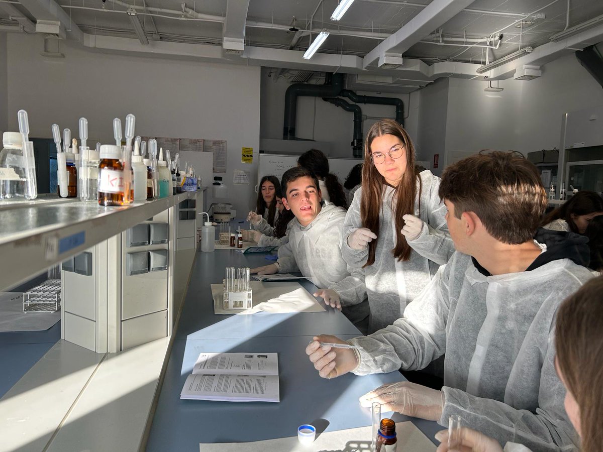 IES Sancti Petri tweet media