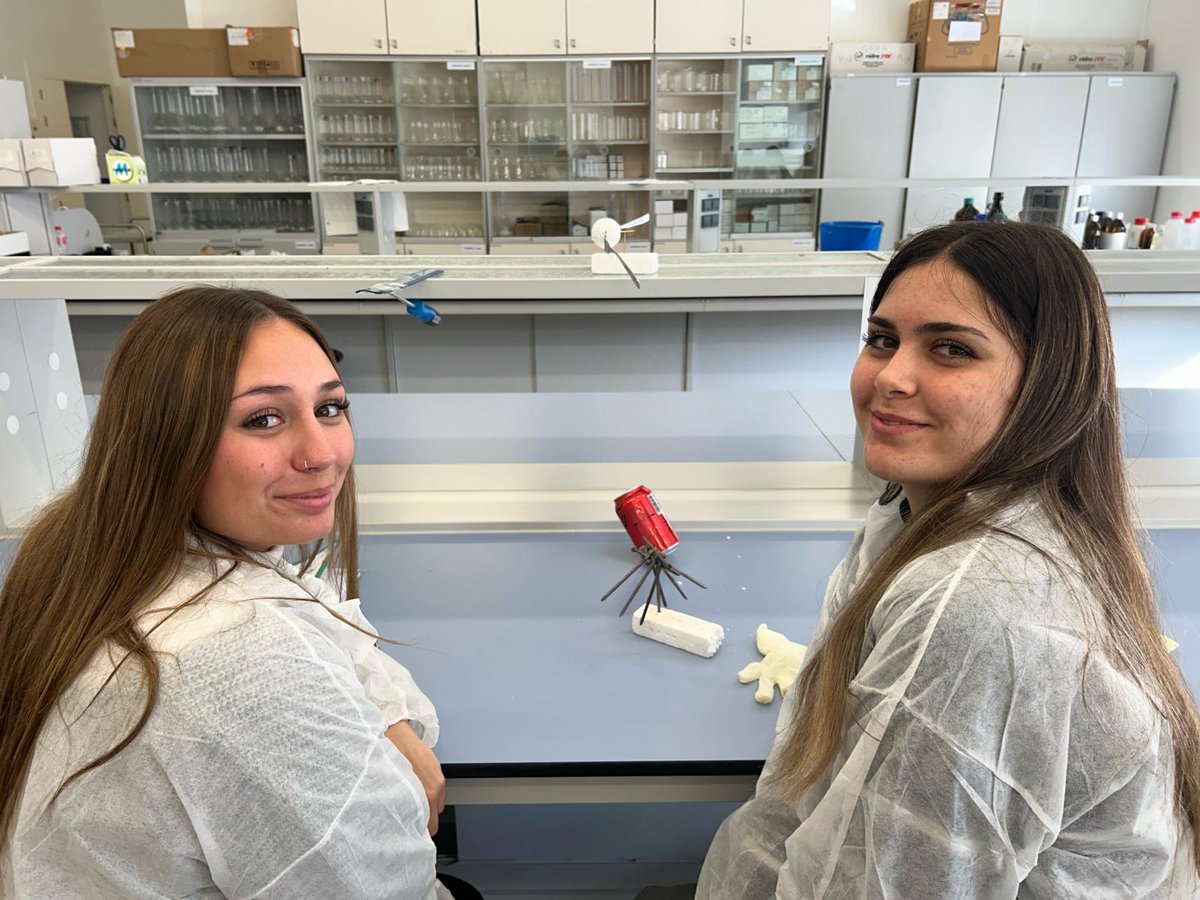 IES Sancti Petri tweet media