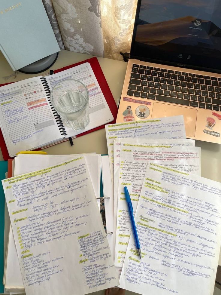 juujubsf's tweet photo. 🍃 meu material escolar 2024 🍃
 (Versão universitário)

#studytwt #studytwtbr #studyacc https://t.co/Ci2KtmXPXO