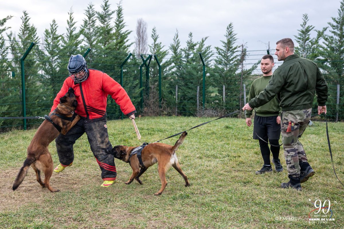 [Formation]Le stage Homme d'attaque niveau 2 du CPOCAAE délivre aux maîtres-chiens la qualification de chef d’exercice et développe les capacités au mordant du chien. Lors de la dernière itération, le GBFSA s'est vu 'maîtrisé' par Narco et Tyrex, deux malinois et il s’en souvient