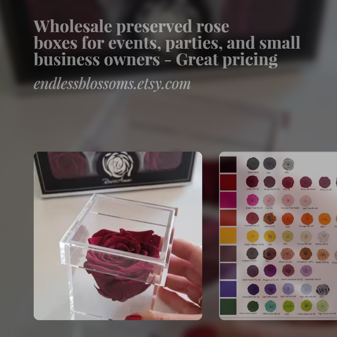 Each rose box comes with a large preserved rose in an acrylic rose box with cover at wholesale pricing. Visit endlessblossoms.etsy.com #wholesaleroseboxes #wholesale #preservedroses #foreverroses #roseboxes #singleroseboxes #florist #giftidea #rosebox #namecards #rose #flowerbox