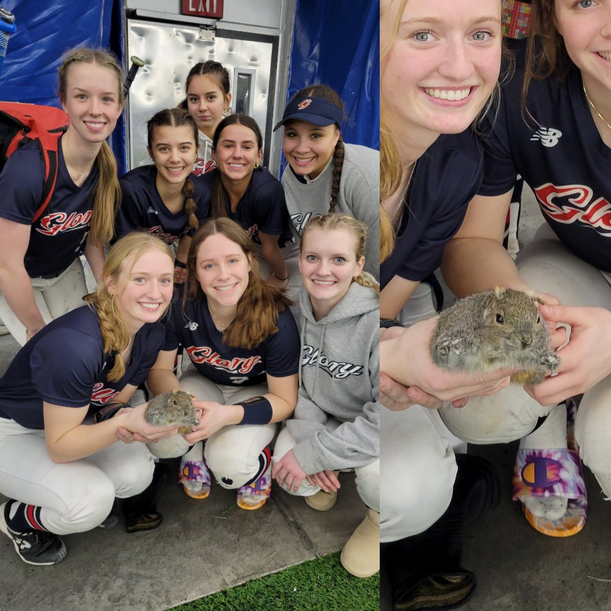 Mascot Check In. @VGGagliardi gives Gloria the squirrel credit for their good play. Let's see what other dugout mascots are out there. #DugoutGoodLuckCharms