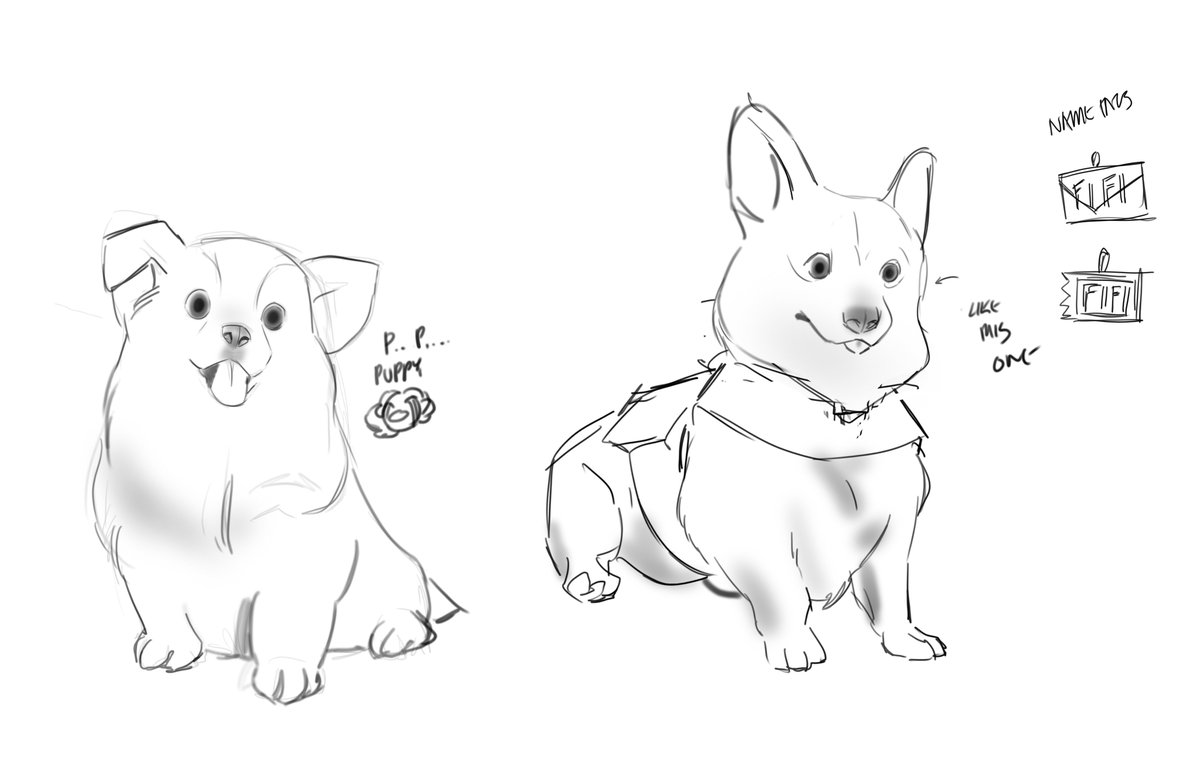 Practicing drawing corgis in my style for my visual novel and I think I'm  starting to get them closer to how I want them to look, image size:1200x758