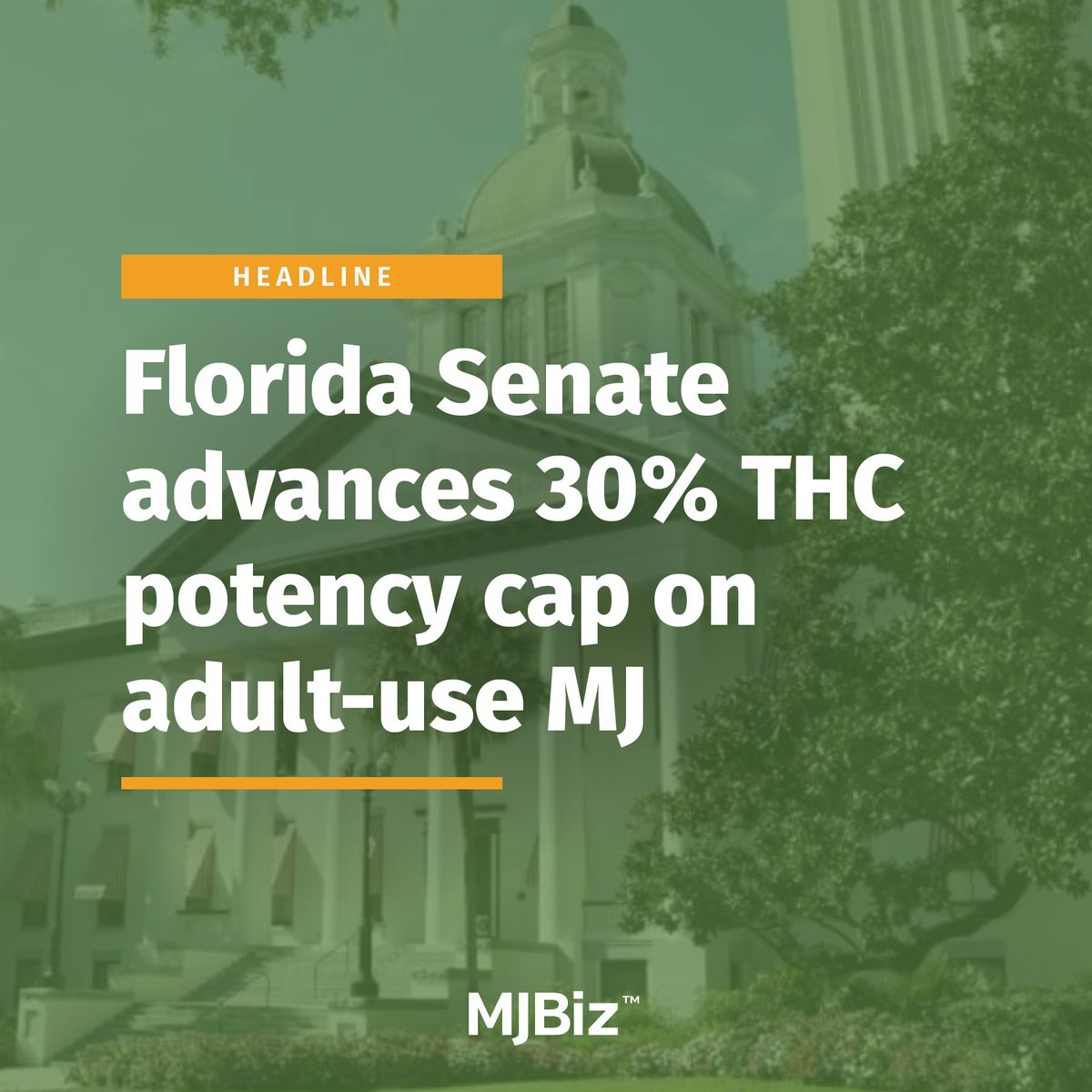 #Florida would become the third state in the U.S. to impose a market-wide potency cap on adult-use #cannabis if a proposal advanced by the Senate becomes law. What are your thoughts on potency caps? Full story here: bit.ly/3w4AxOx (Photo by petert2/stock.adobe.com)