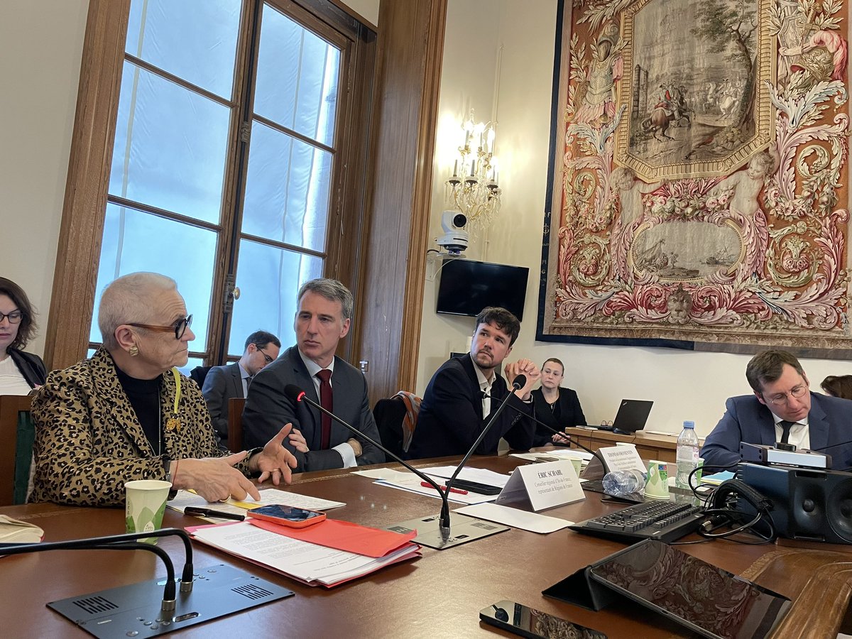 Capo_Canellas's tweet photo. Dans le cadre de la Mission d’information de la #ComFin du @Senat sur les problèmes assurantiels que rencontrent les collectivités #CollTerr la commission a entendu @eschahl @Regionsdefrance @alainchretien @l_amf @ThomasFromentin @IntercoDeFrance en présence @FrancoiseGatel https://t.co/DcjPEWtmS2
