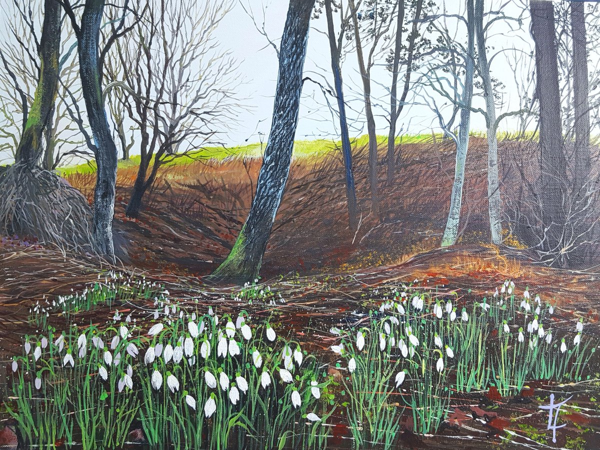 Blooming lovely! I've just finished this painting of Snowdrops. There's something so special about spotting one's first snowdrops of the year. #inbizhour #womaninbizhour #ForNetworking #HandmadeHour  #MakersHour  #CraftBizParty