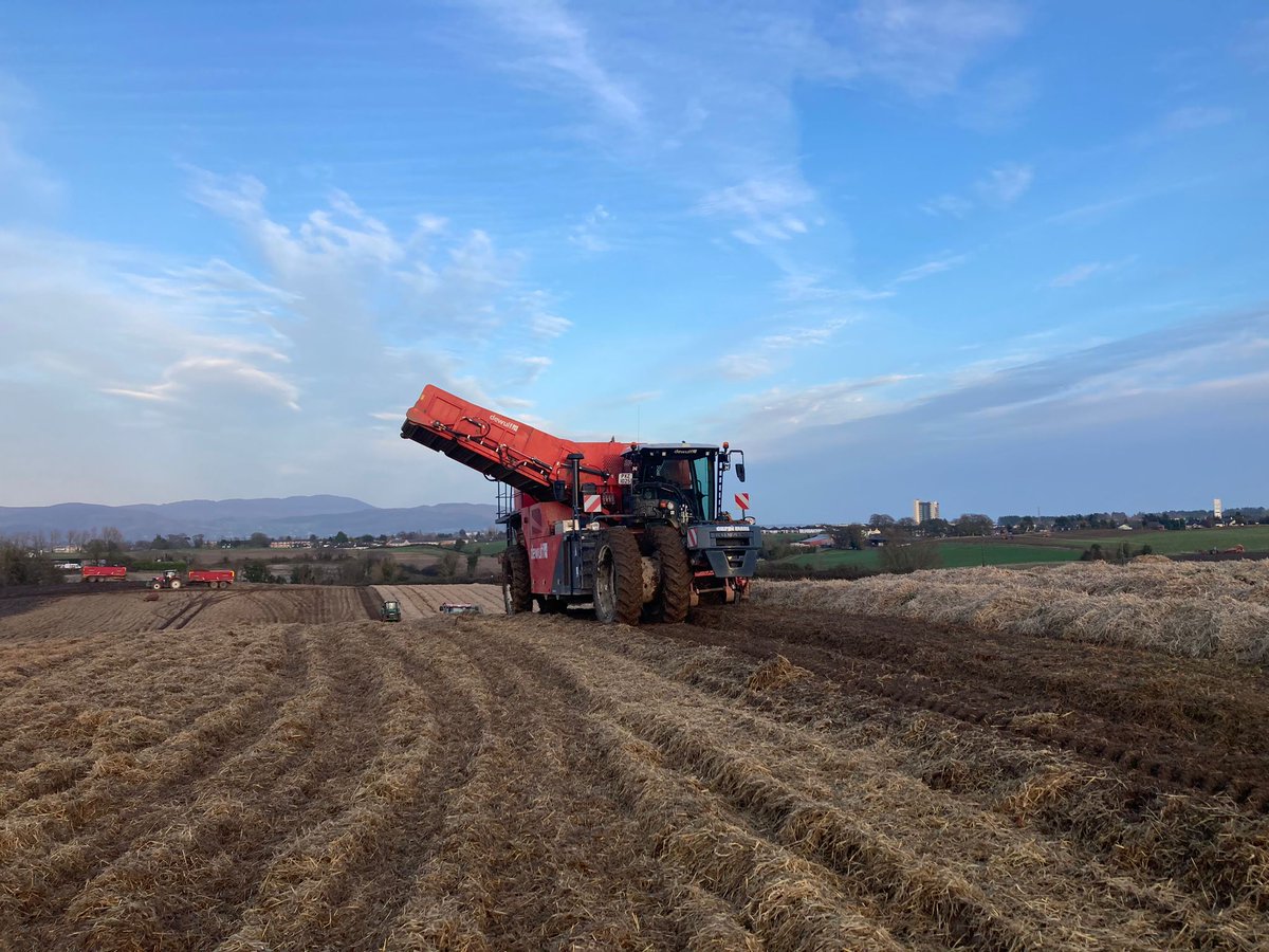 Gilfresh Produce tweet media