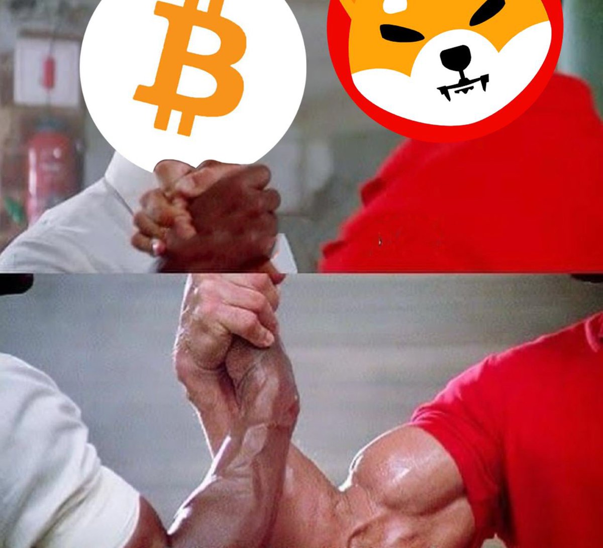 BTCINU tweet media