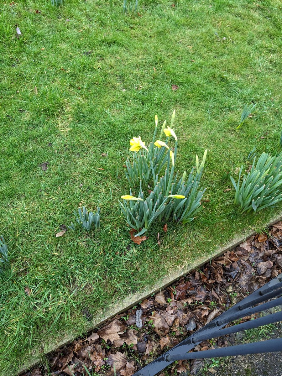 Signs of spring :)