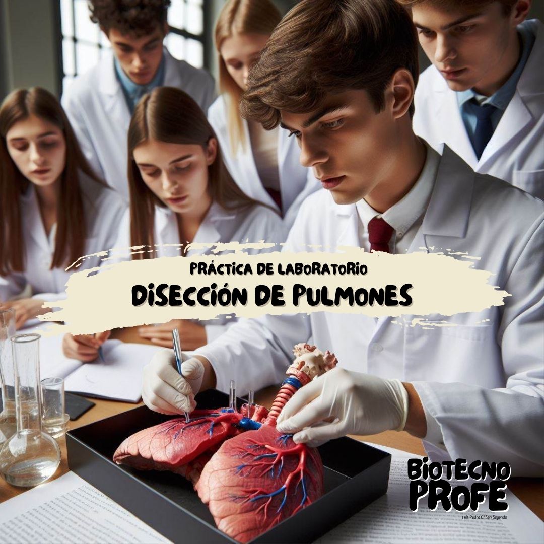 Luis Pedro G.ª San Segundo tweet media