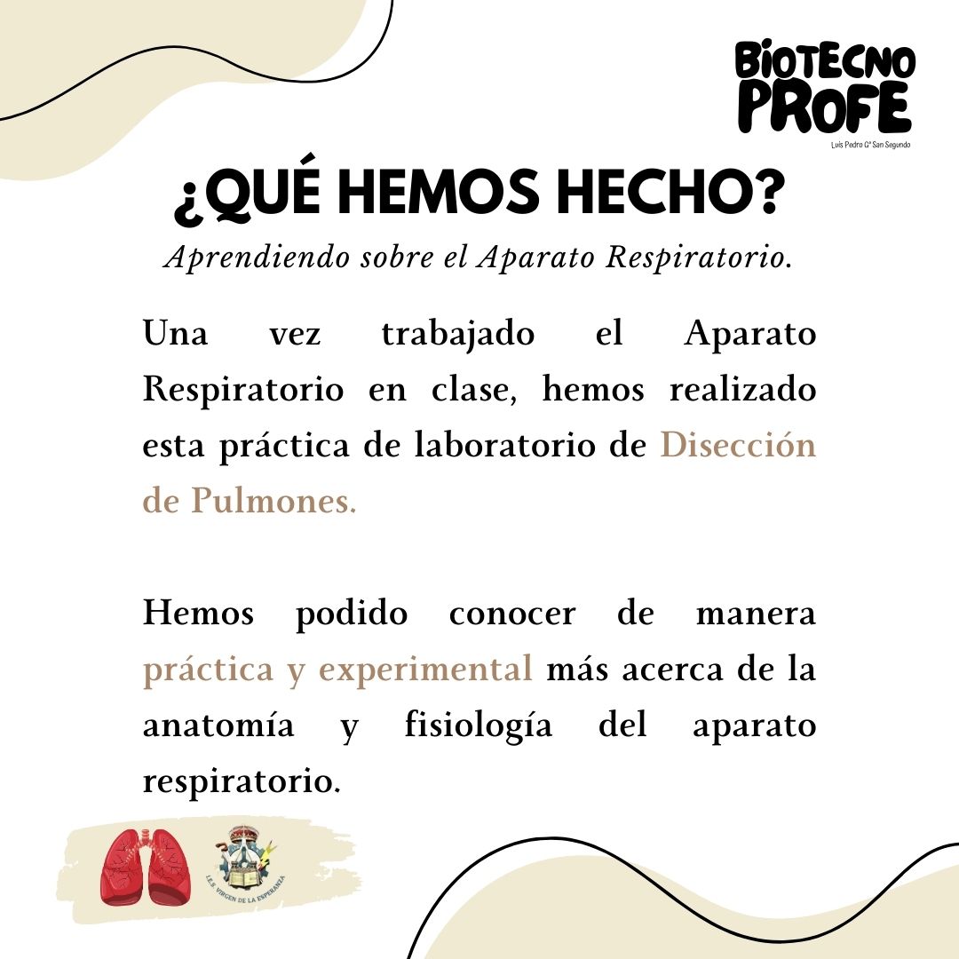 Luis Pedro G.ª San Segundo tweet media