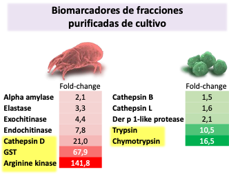 En nuestra web, explicamos en qué consisten nuestros #biomarcadores enzimáticos para control de calidad en la producción de extractos alergénicos de #ácaros

#mites #allergy #HDM #Dermatophagoides

alergia.acaros.csic.es/noticias-y-pub…
