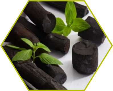SupergenBioHub's tweet photo. Join host @Mez_theEngineer from the @EBNetUK #biochar working group and speakers Prof
@FredericCoulon1 (@CranfieldUni) and Prof Andy Ball (@RMIT) on Wed 12 Feb, 10-11 for a webinar on biochar in environmental biotechnology: 
https://t.co/w6ApU2JzuR https://t.co/RGBUpBCxyQ