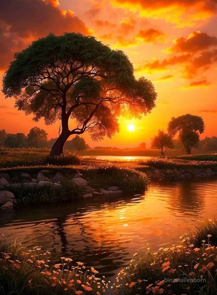 ili_naturelover's tweet image. Peaceful evening ✨💛