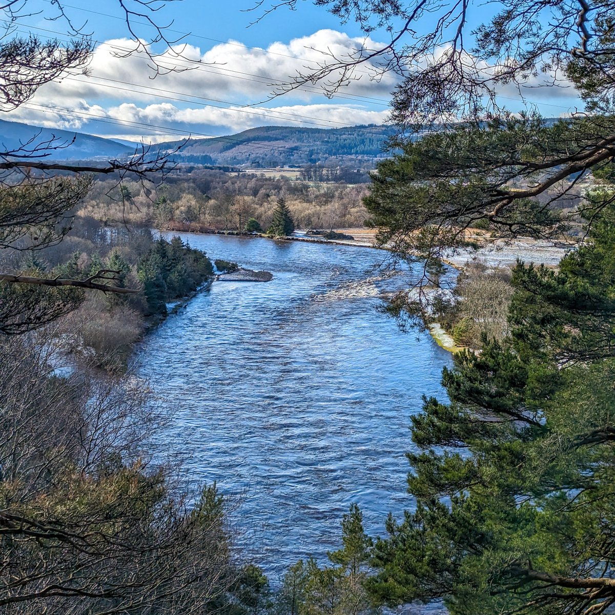 The Spey is looking as majestic as ever.😁 From here you can see that river levels are up, having risen significantly after several days of heavy rainfall. This winter, we have noted an unusually high frequency of spates, possibly more than any winter in the past 20 to 30 years?