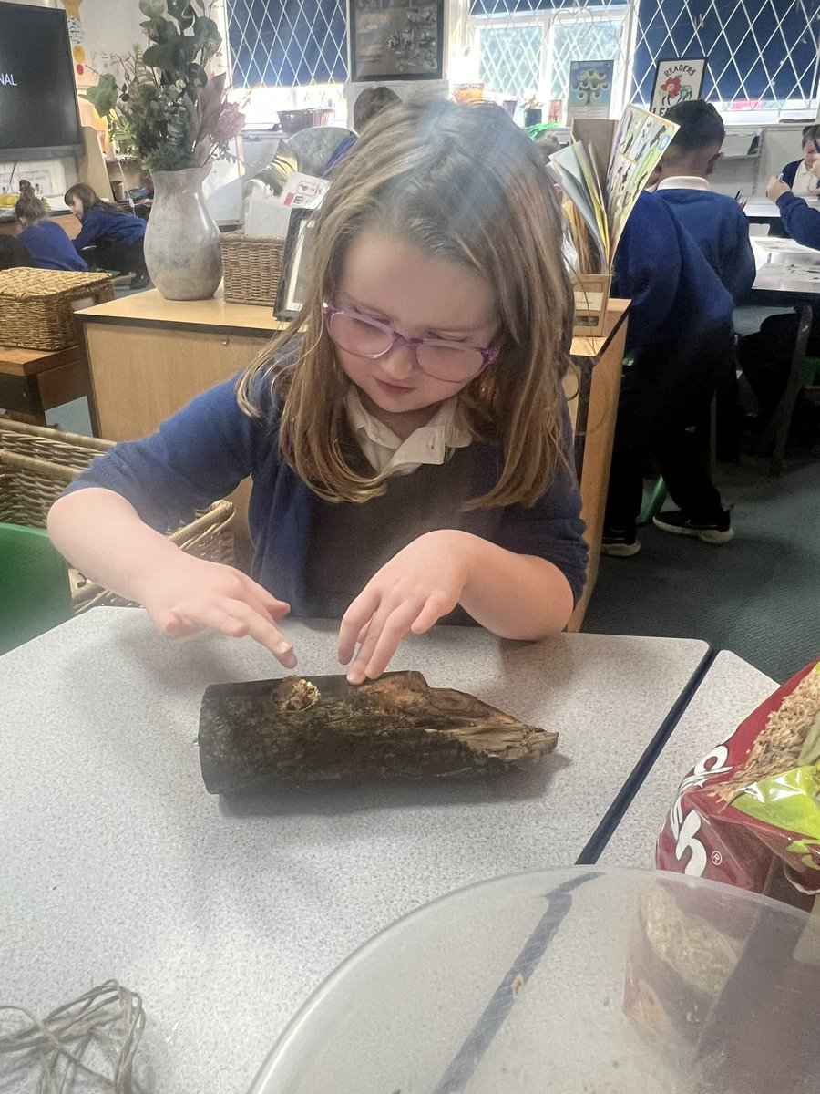 stjosephskly's tweet photo. #teamolive had a session with Sam @Stocksfield and learnt how to make bird feeders. We then drilled them and added a hook. Finally adding birdseed and peanut butter for the birds @SJKdt @SJKmentalhealthweek https://t.co/3FvxaaevZZ