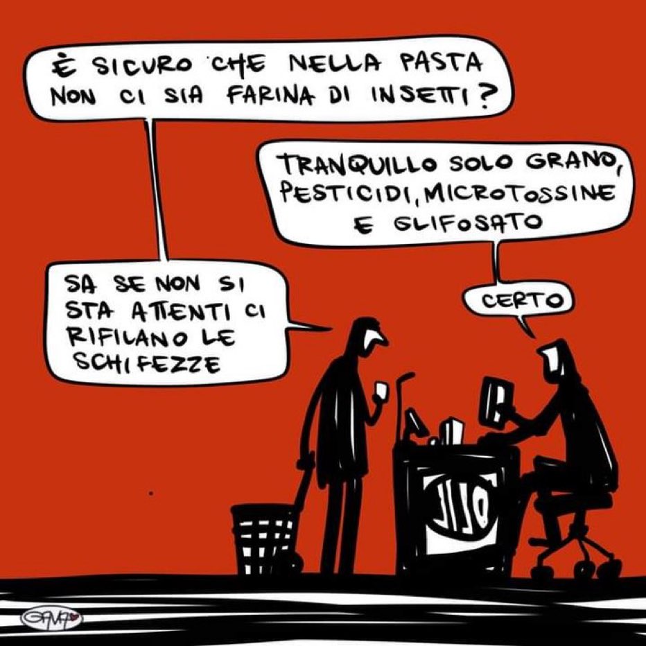 lauparducci's tweet image. 