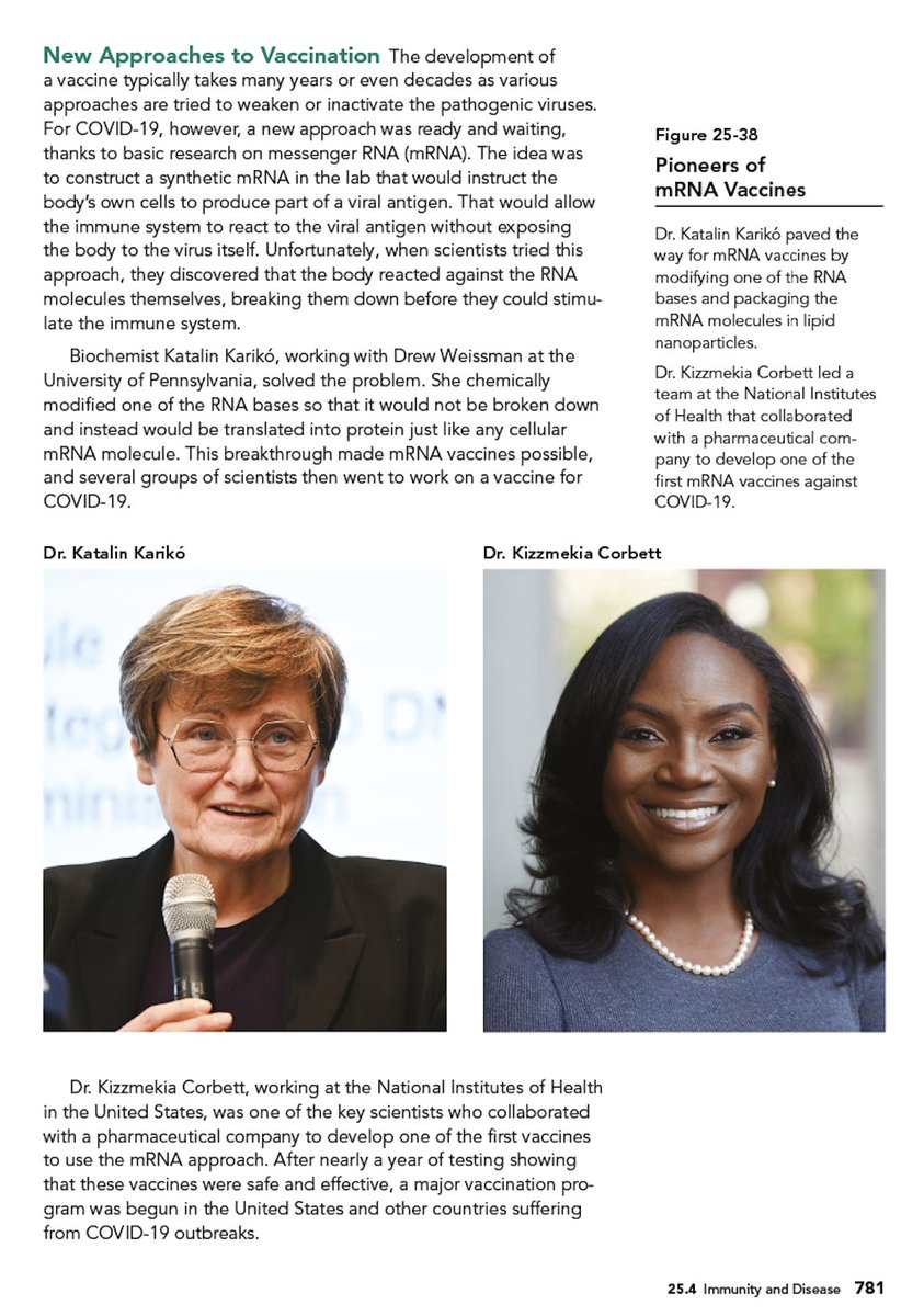 Personal connections to science matter! Delighted that Joe Levine and I were able to feature these two pioneering scientists in our new Bio textbooks for Texas and Florida! @KizzyPhD @kkariko @SavvasLearning