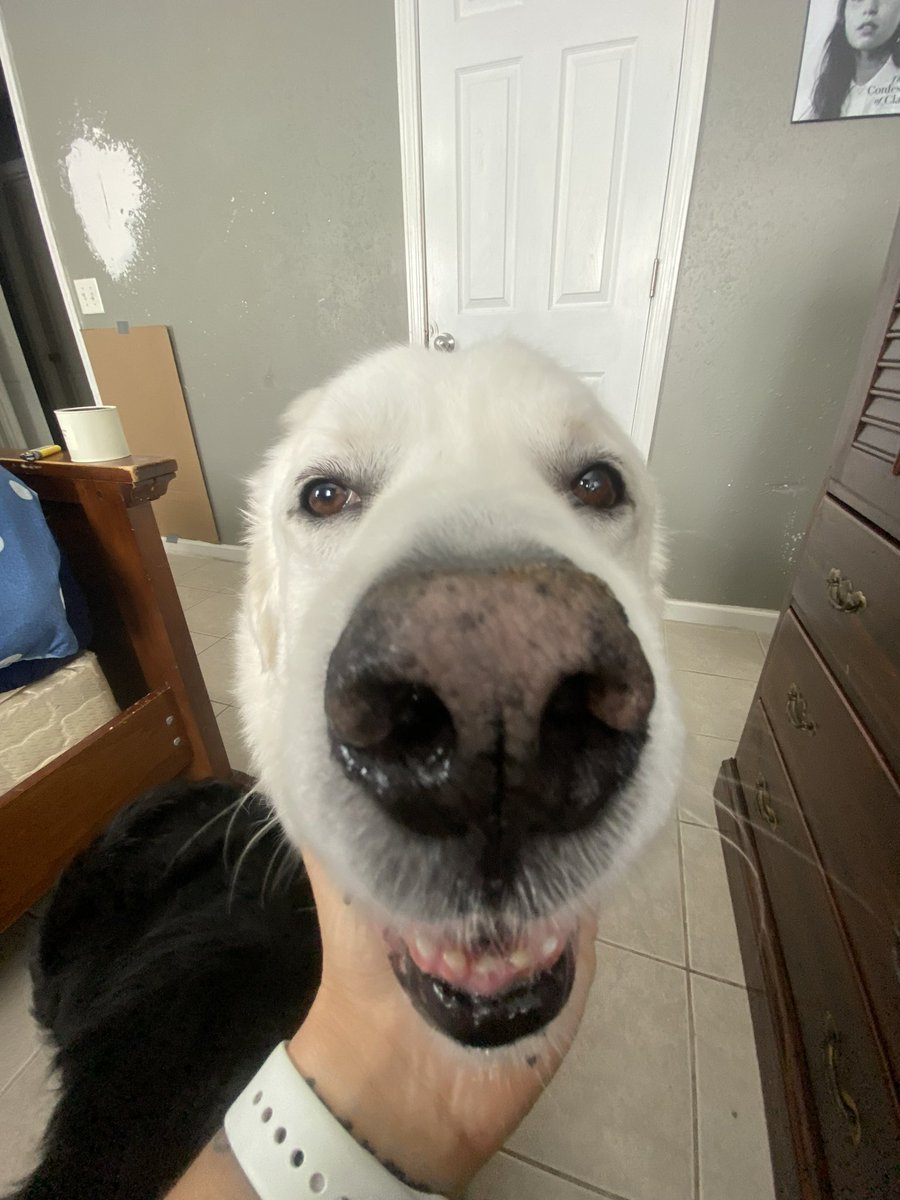 FlacoBrochacho's tweet photo. 7 years old I could cry :,) https://t.co/CG30dk6NWK