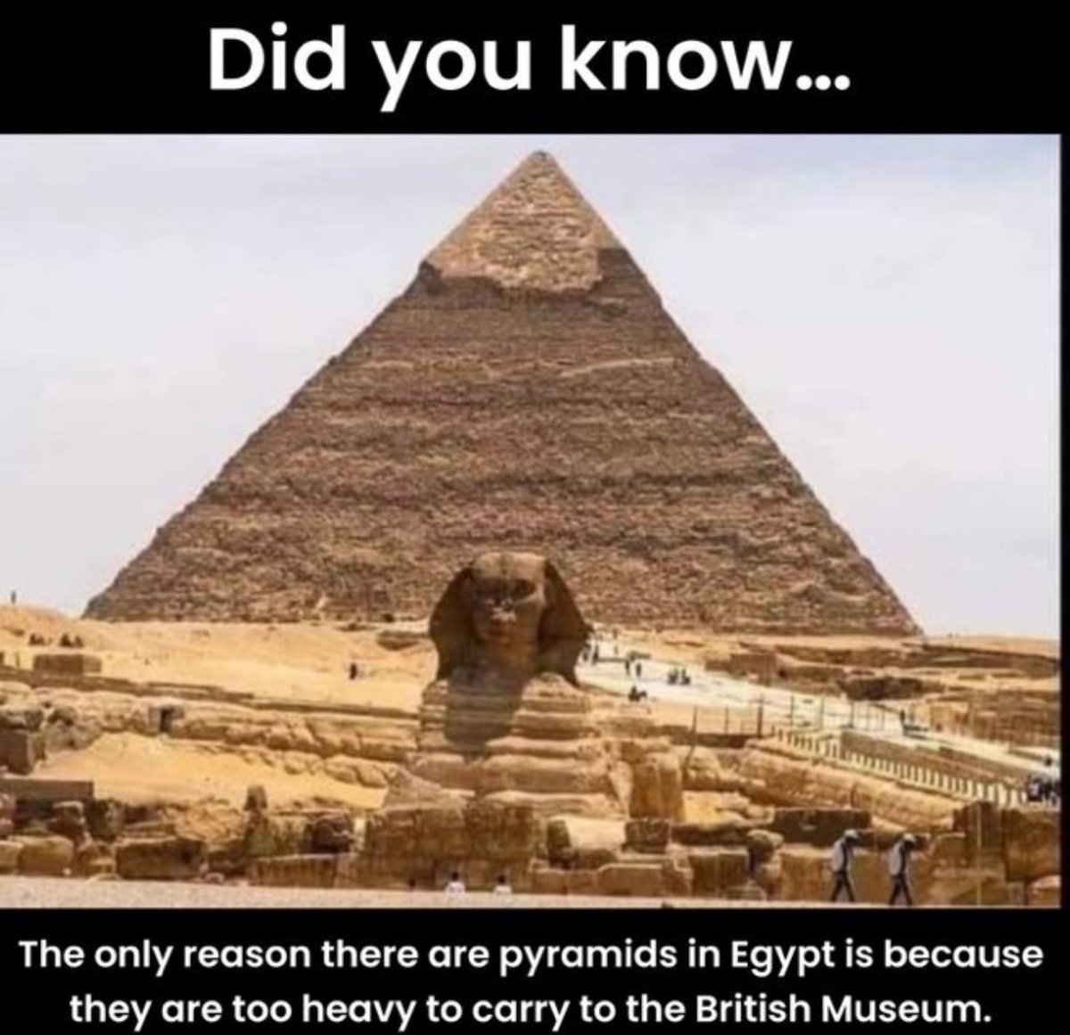 NoContextHumans's tweet image. 