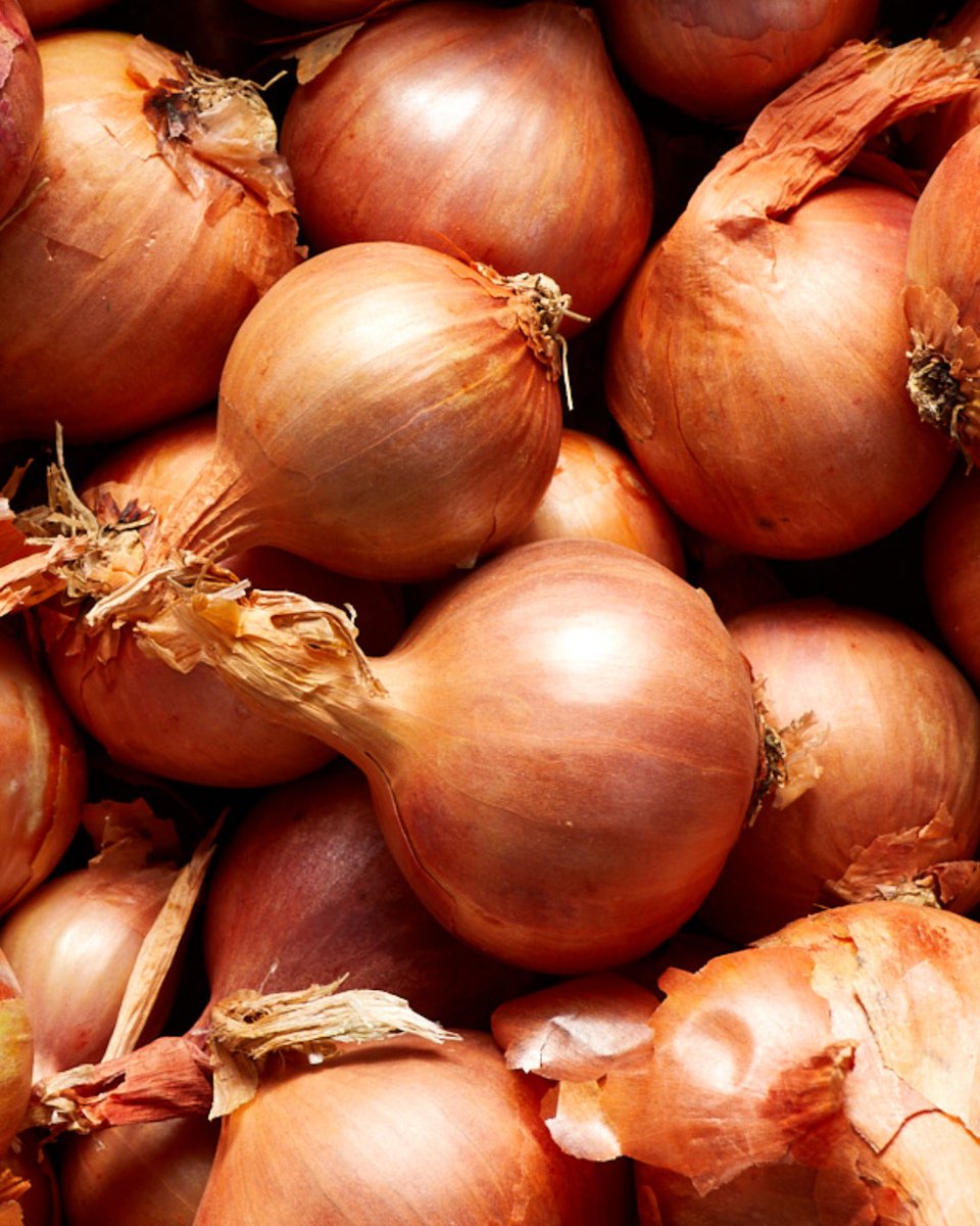 Shallots not only add incredible flavour but also provide a range of health benefits…

Shallots are a rich source of vitamins A, B and E!

Head to our website and check out our page for an abundance of shallot recipes and inspiration! - ukshallot.com/recipes